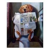 Canvas Hobby Gazete Okuyan Köpek Kasnaklı 40 x 50 cm Sayılarla Boyama Seti