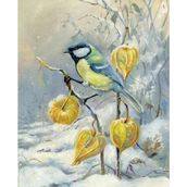 Canvas Hobby Kış ve Kuş Kasnaklı 50x65 cm Sayılarla Boyama Seti