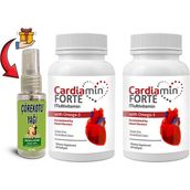 Cardiamin Forte 2 Kutu Multivitaminli OMEGA3LÜ 60 Soft Jel Kapsüllü Formül Yanında Çörek Otu Masaj Yağı 30 ml - 2 Adet