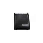 Carlsbro EDA30 30W Davul Monitör Amfi