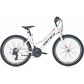 Carraro Speed 242 24 Jant 21 Vites VB Fuşya Beyaz Lila Turkuaz Kadın Dağ Bisikleti