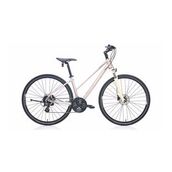 Carraro Sportive 226 2019 Model 21 Vites 28 Jant Hidrolik Disk Fren Kadın Şehir/Gezi Bisikleti