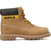 Cat Colorado Honey Erkek Botu