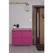 Ceha Kilitli Tablalı 4'lü Metal Ayakkabılık - Pembe