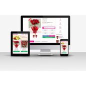 Çiçek V1 Web Yazılımı