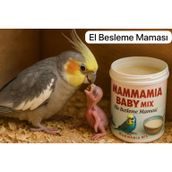 Ciftciyik 400 gr Baby Mix El İle Besleme Maması