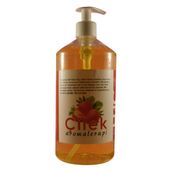 Çilek Aromaterapi Masaj Yağı 1 Litre