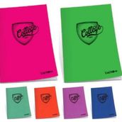 Çınar 76000 College Pp Okul Defteri A4 60 Yp Düz Defter