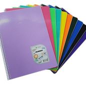 Çınar A4 Çizgili Pp Kapak 96 Yaprak Spiralli Defter