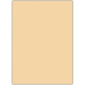 Çınar Yapışkanlı Eva 50X70 Ten Rengi Rulo Şeklinde