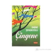 ÇİNGENE - AHMET MITHAT EFENDI