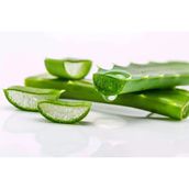 Clades 20 ml Aloe Vera Yağı