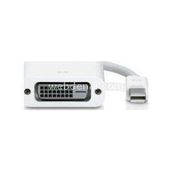 Codegen CPD13 Mini DISPLAY PORT to DVI 24+5 Erkek-Dişi Beyaz Dönüştürücü Adaptör