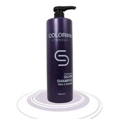 Colorinn Stardust Silver 1000 ml Şampuan