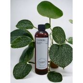 D-Aurora Fragrance 250 ml Pro Mac Pollux Koku Makinası Diffuser Esans Yağı