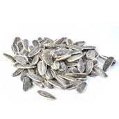 Dakota Tuzlu 500 gr Çekirdek