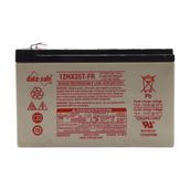 Datasafe HX35T-FR 12V 10 Yıl Ömür Beklentili Bakımsız Kuru Tip AGM VRLA Akü