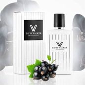 David Walker Fowred Black B172 Oryantal EDP 50 ml Kadın Parfüm