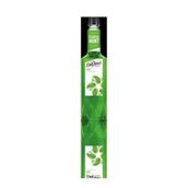 Davinci Gourmet 750 ml Nane Aromalı Şurup