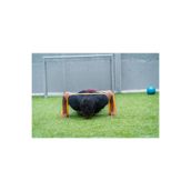 Decathlon Direnç Bandı - Direnç Kayışı - Direnç Lastiği - Fitness Bandı - Pilates Bandı - 20 Kg - Sarı Sarı 20 Kg