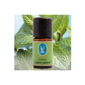 Defne Nuka Essencia 10 ml İngiliz Nanesi Yağı
