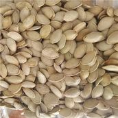 Değirmenim 500 gr Kabak Çekirdeği