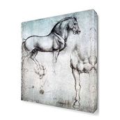 Dekor Sevgisi Horse 60x40 cm Kanvas Tablo