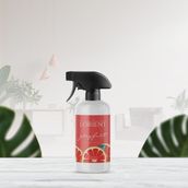Dfn Home 500 ml Lorıent Ortam Spreyi