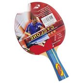 Die Grup Masa Tenisi Raketi - Yüksek Kontrol ve Spin Özellikleri - 10*10 CM