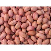 Dilek Kuruyemiş 1 kg Osmaniye Çiğ Fıstık İçi Duble