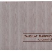 Dilman 2 Nüsha Otokopili Tahsilat Makbuzu