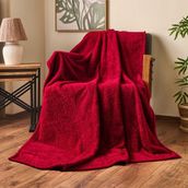 Dinarsu Wellsoft Kırmızı 120x170 cm TV Battaniyesi