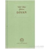 DIVAN-I İLAHİYAT ELMALILI VAHIB ÜMMİ HALVETI - AHMET ÖGKE;MUSTAFA TATCI