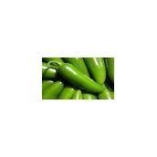 Doğal 20 Adet Early Jalapeno Erkenci Biber Tohumu
