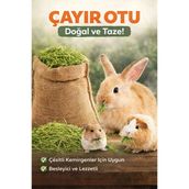 Doğal Çayır Otu Kemirgen Yemi Tavşan Hamster Ginepig Chinchilla Doğal Kurutulmuş Kemirgen Otu 400 Gr