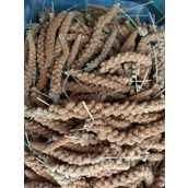 Doğal Kızıl Dal Darı Kuş Yemi 1kg (min:10cm-max:20cm Uzunluk)