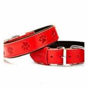 Doggie Konforlu El Yapımı Pati Desenli Kırmızı 3.5x47-55 cm Köpek Boyun Tasması