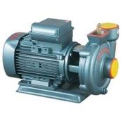 Domak SLG2 3HP 220 Volt 2 Çıkışlı Santrifüj Pompa