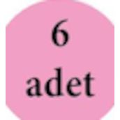 Dore Sahra 51 6 Adet Masaj Kadın Çorap
