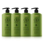 Dp Daily Perfection 4x425 ml Moringa Yağı Şampuan