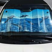 Dreamcar 1103501 Metalize Balonlu 60 x 130 cm Manzaralı Güneşlik