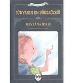 Dünyanın En Uğurböceği - Mevlana İdris