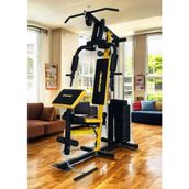 Dynamic DLX 1001 Pro Tekli Ağırlık İstasyonu