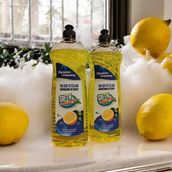 Dynamix Wash Green Home Elde Bulaşık Yıkama Deterjanı 750 ml x 2 - 1,5 lt