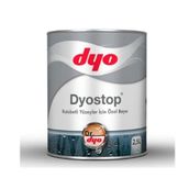 Dyo 2.5 lt Rutubetli Yüzey Boyası
