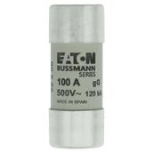 Eaton 22x58,gG/gL,500V,120kA-100A Silindirik Sigorta