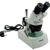 Edulab Mikroskop Stereo