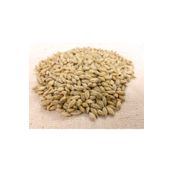 Ekodoğa Arpa Tohumu 3 Kg Doğal Arpa Tane Arpa Dane Arpa Kuş Yemi Arpa Ilaçsız Arpa