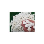 Ekodoğa Dolomit Beyaz 5 kg 1.5-2.5 cm Dekoratif Taş