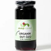 Ekoloji Market 300 ml Dut Özü